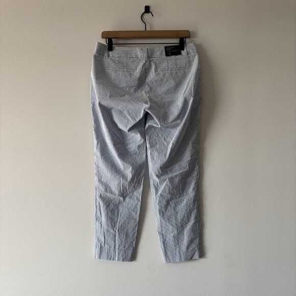 J Crew Skimmer City Fit Pants Blue Striped Women’s Size 4 Preppy Old Money NWT - Picture 9 of 14